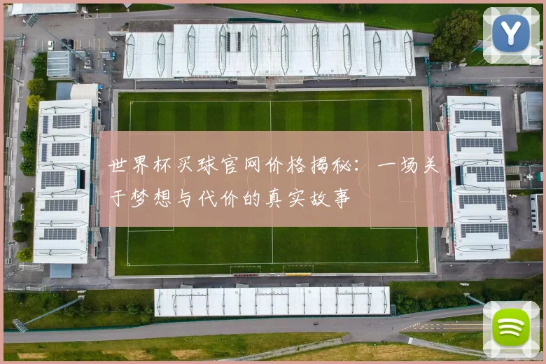 世界杯买球官网价格揭秘:一场关于梦想与代价的真实故事