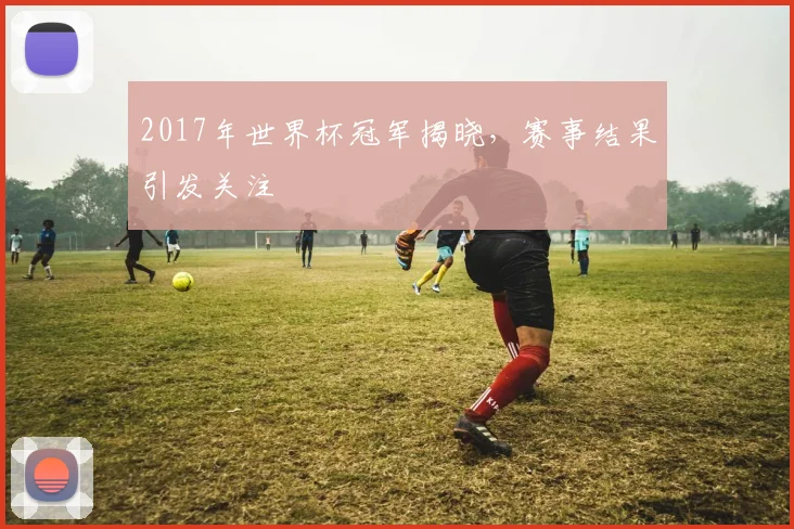 2017年世界杯冠军揭晓，赛事结果引发关注