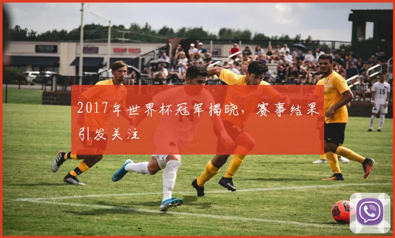 2017年世界杯冠军揭晓,赛事结果引发关注